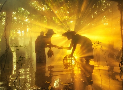 Выставка избранных фотографий победителей XI Международного конкурса фотожурналистики имени Андрея Стенина