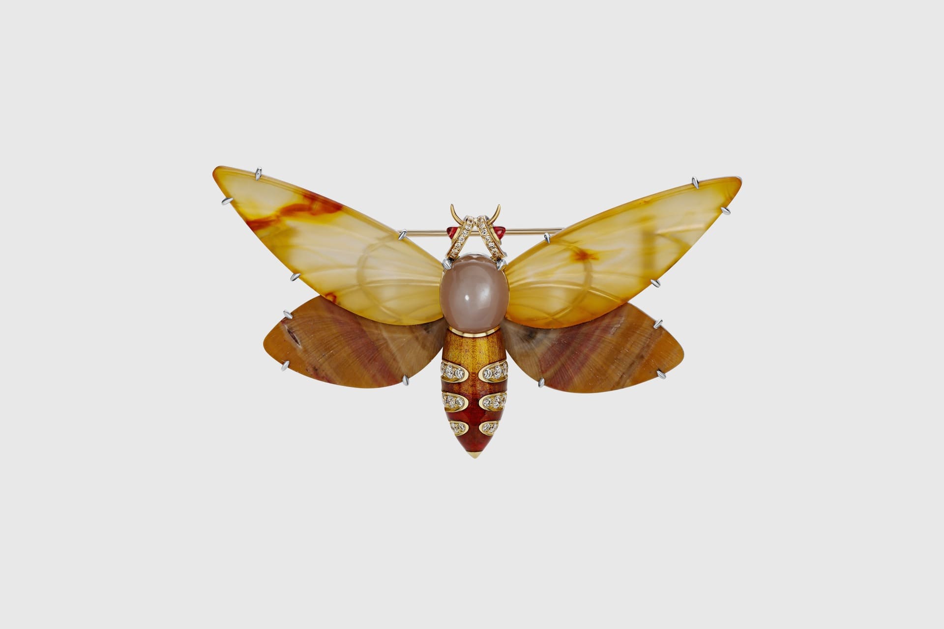 Обзорные экскурсии по выставке «На свет из темноты» 