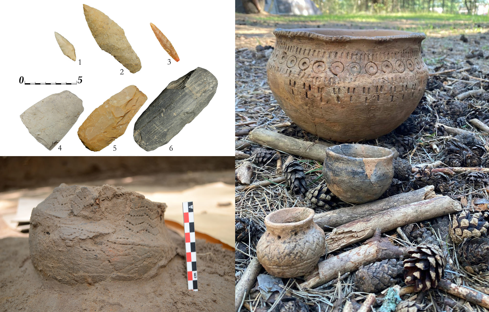 Мещерская археологическая экспедиция