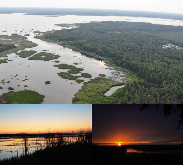 Мещерская археологическая экспедиция