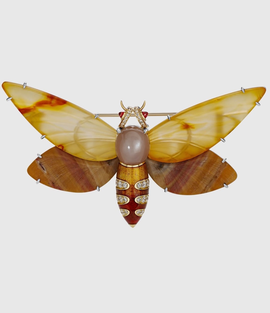 Обзорные экскурсии по выставке «На свет из темноты» 