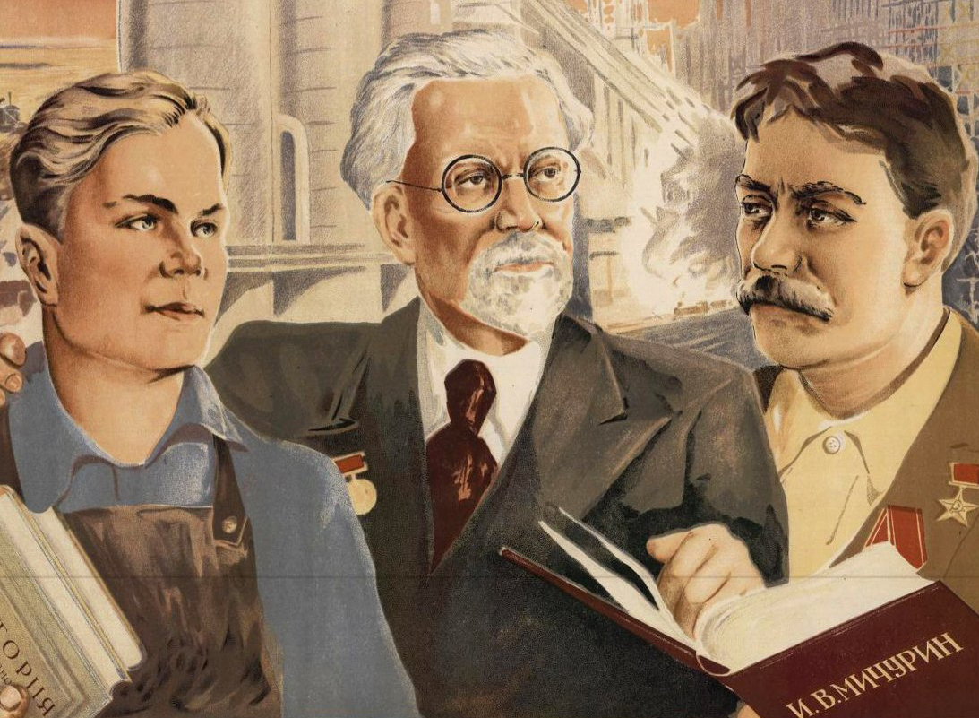 Культура и быт СССР глазами современников