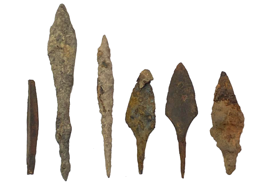 Смоленская археологическая экспедиция