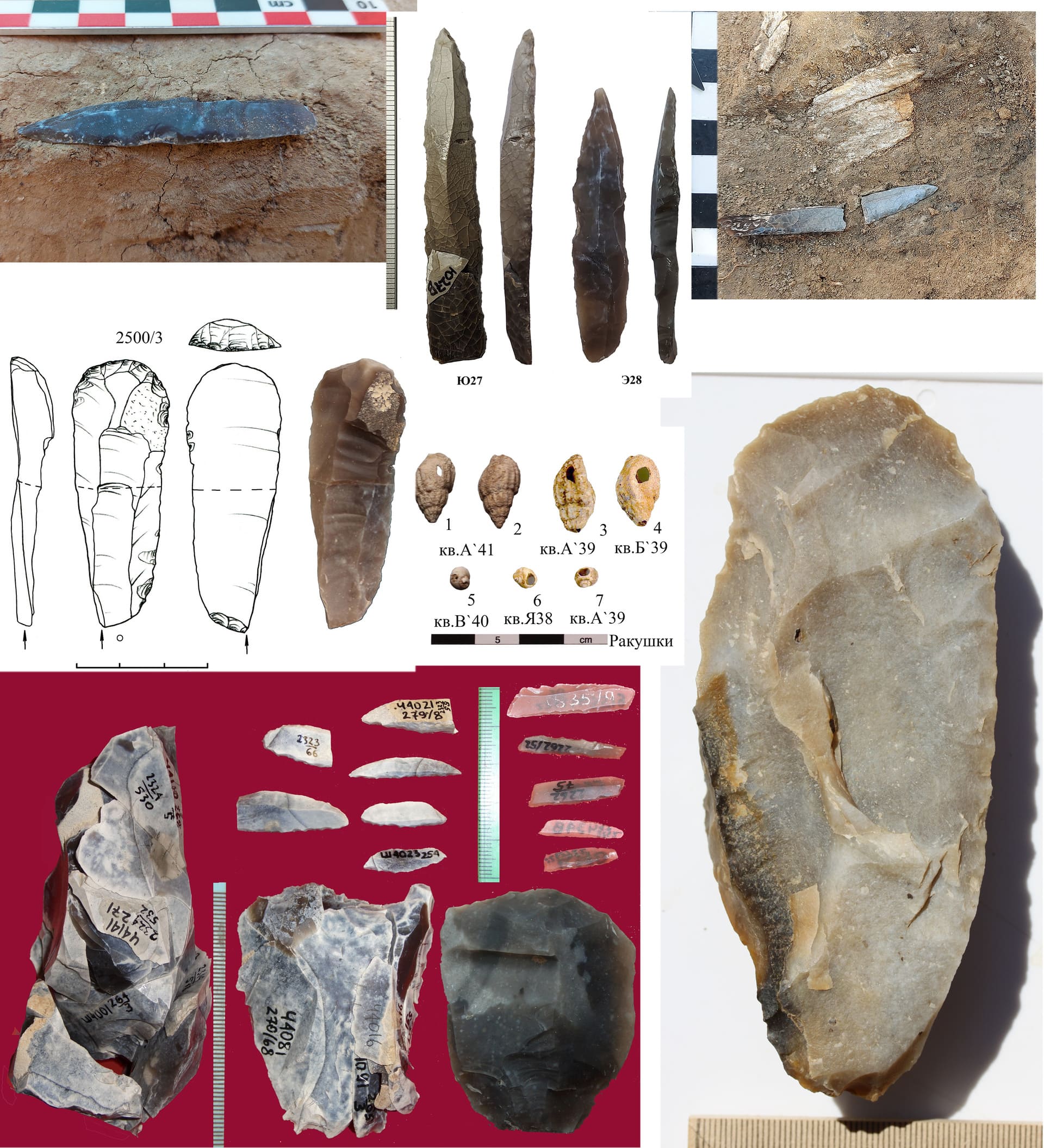 Нижнедонская археологическая экспедиция