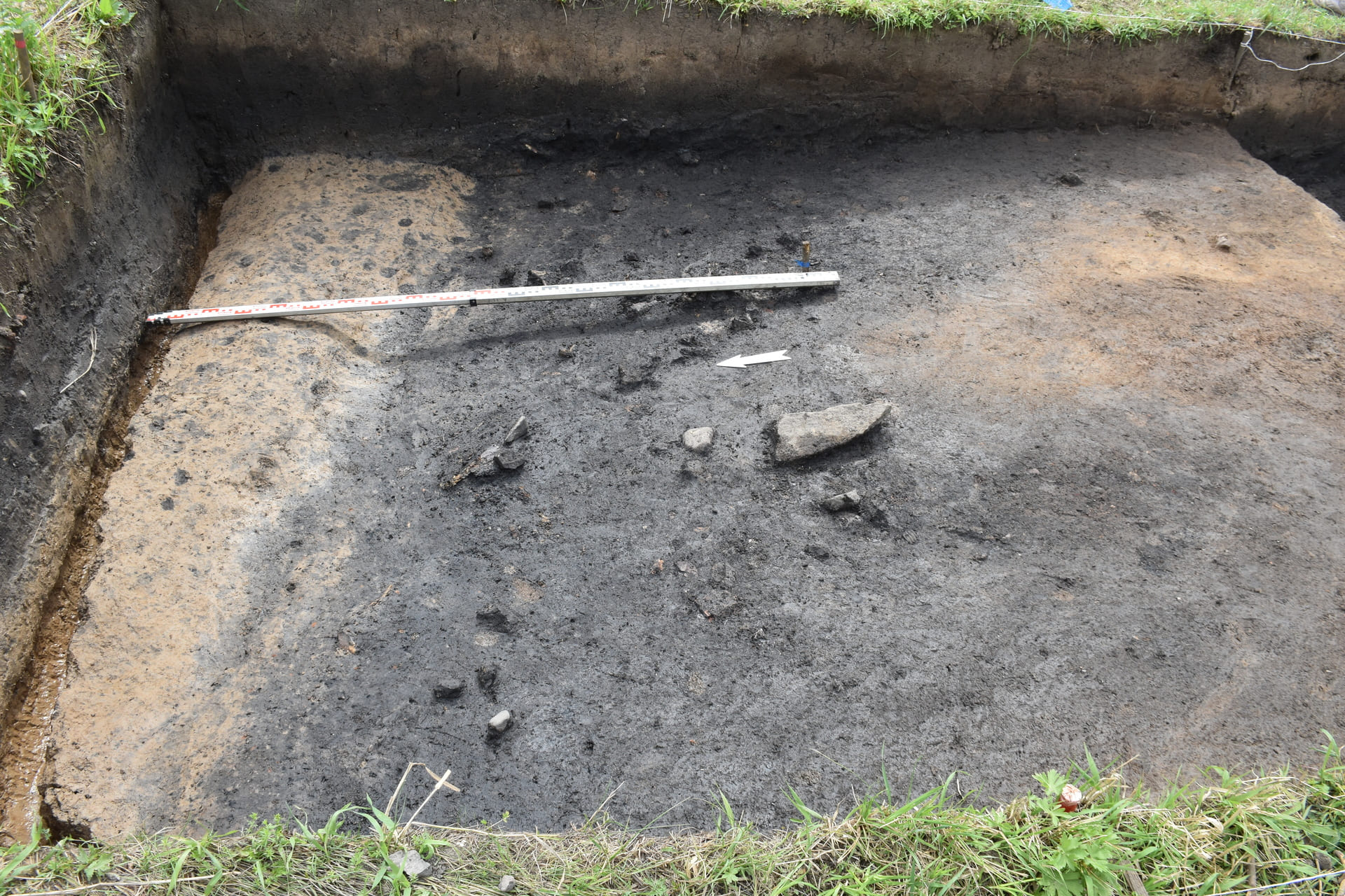 Смоленская археологическая экспедиция