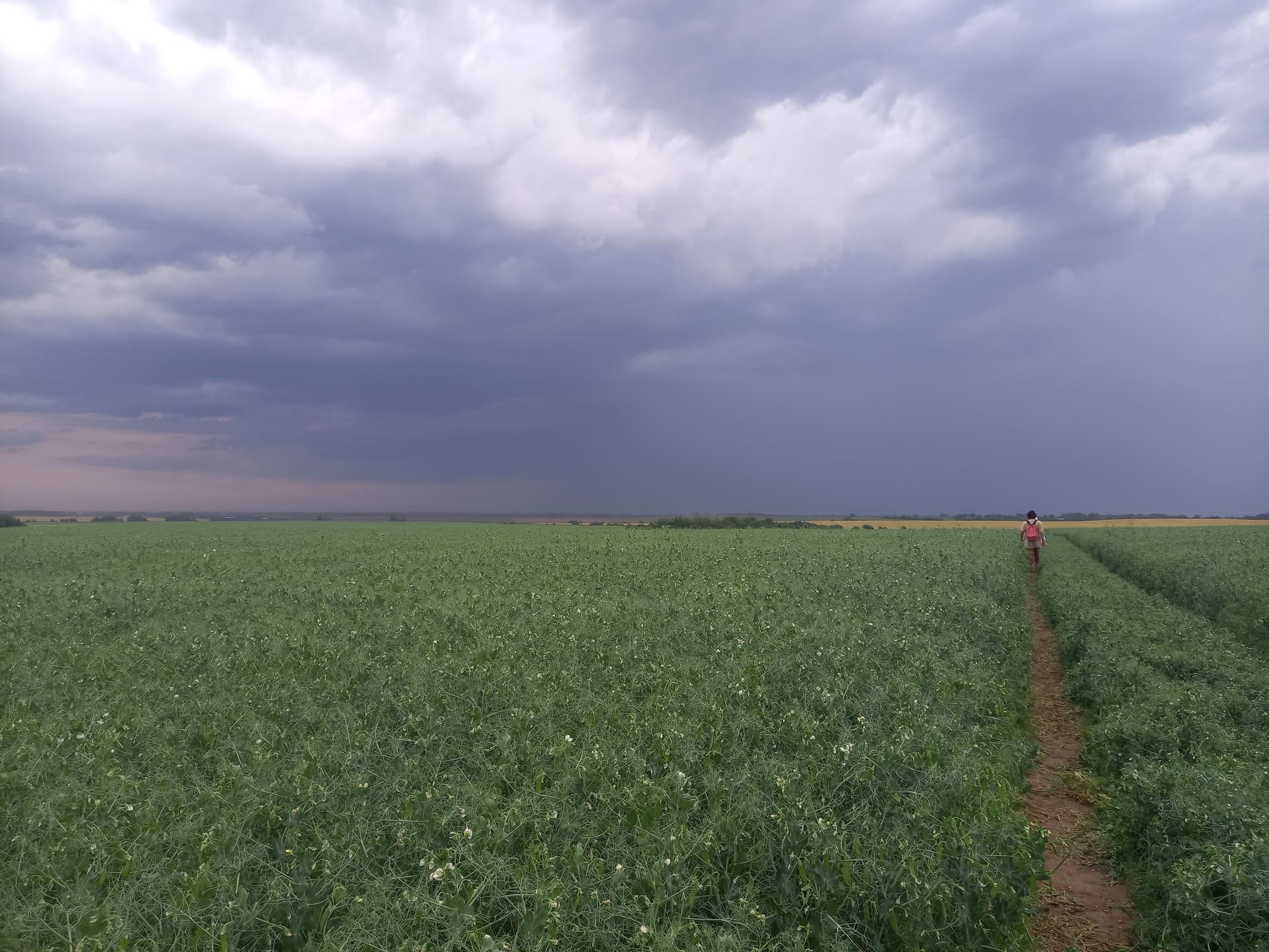 Суздальская археологическая экспедиция