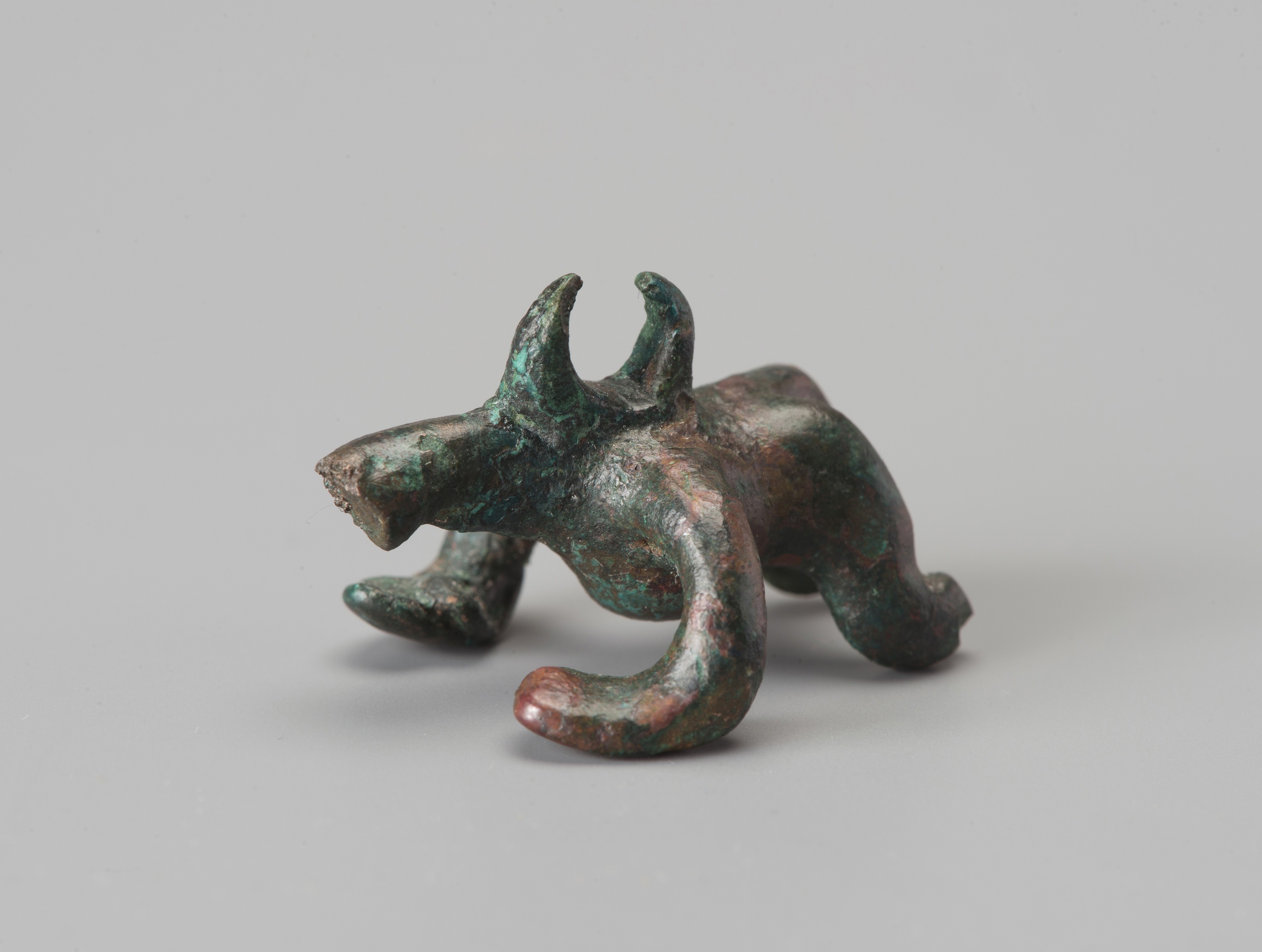 Объединенная Северо-Кавказская археологическая экспедиция